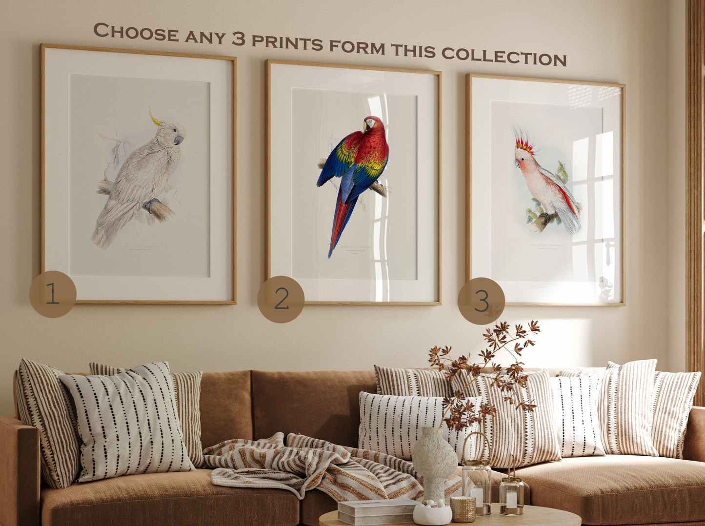 Set of parrot posters wall art, Choose Any Prints, birds wall art prints