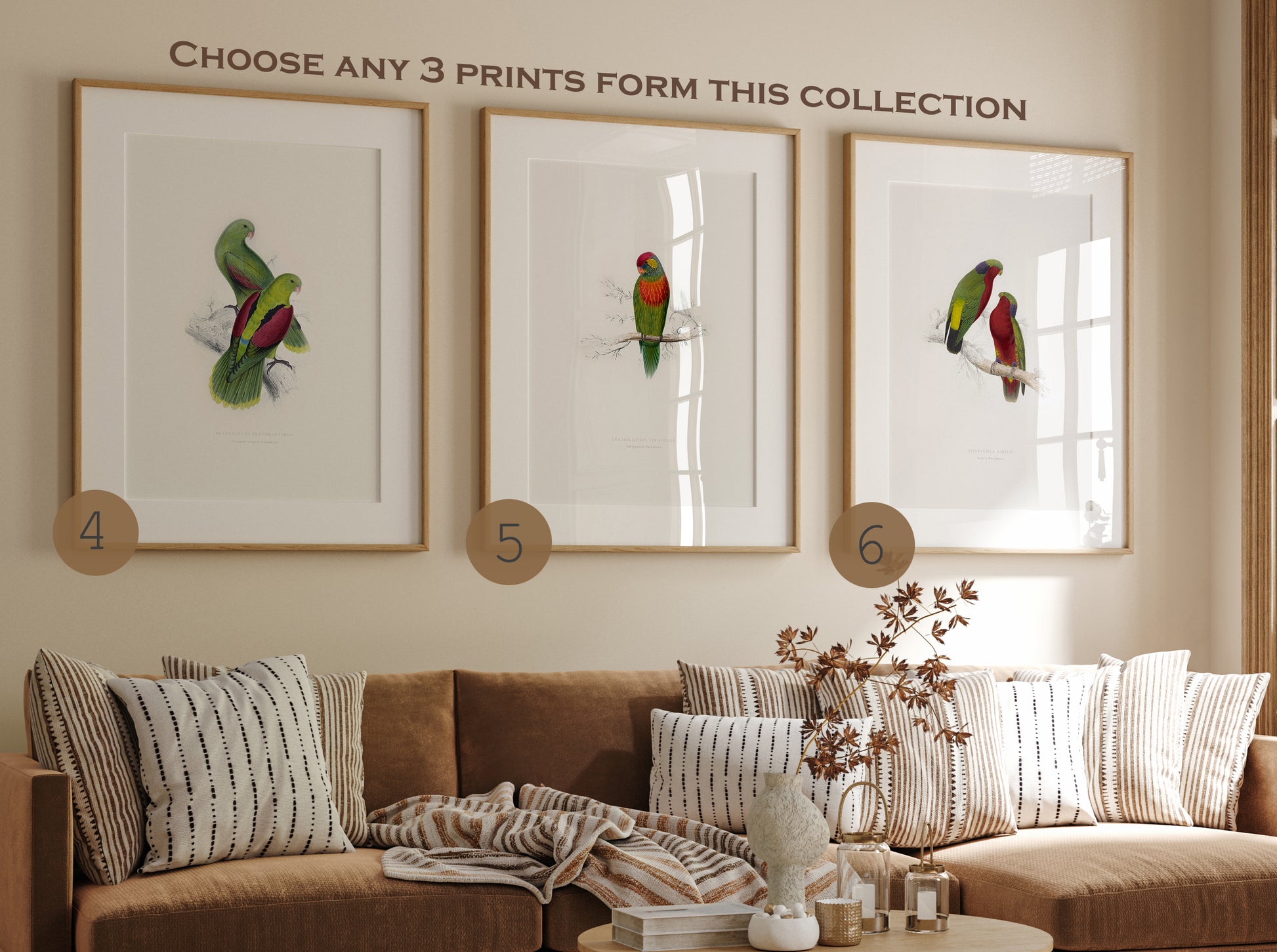 Set of parrot posters wall art, Choose Any Prints, birds wall art prints