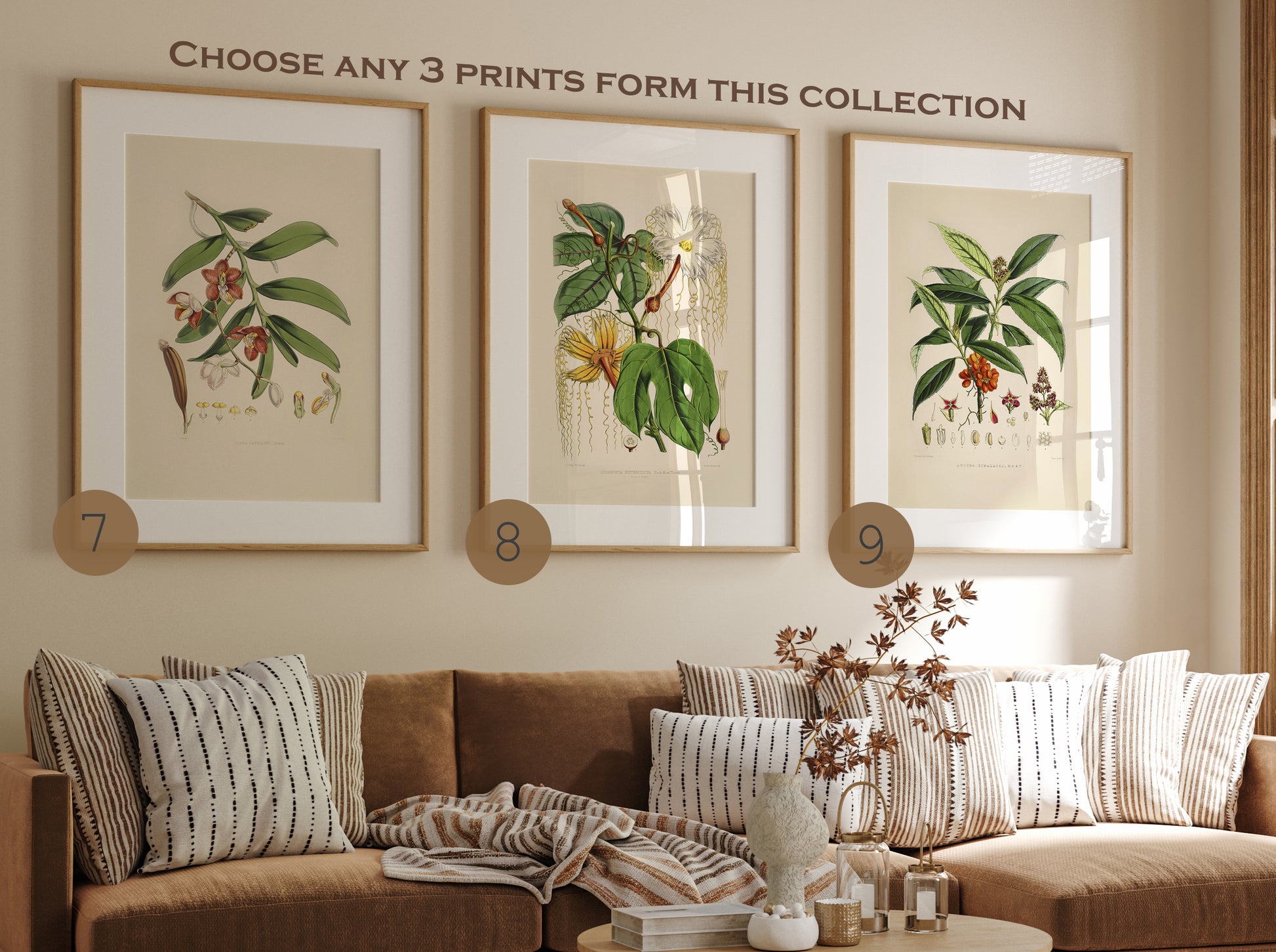 Plants prints, Set of 3 Vintage Prints, Botanical Prints, Victorian Pr