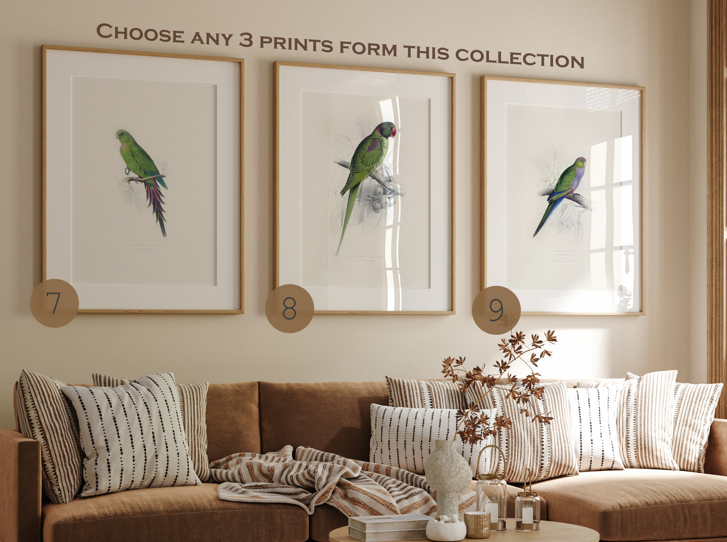 Set of parrot posters wall art, Choose Any Prints, birds wall art prints