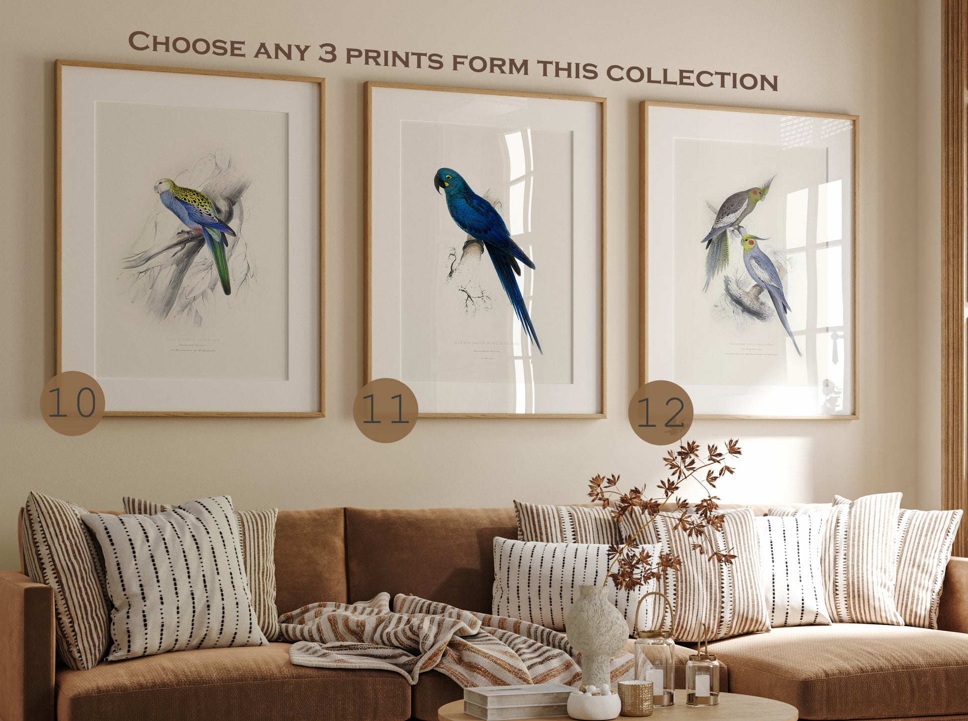 Set of parrot posters wall art, Choose Any Prints, birds wall art prints